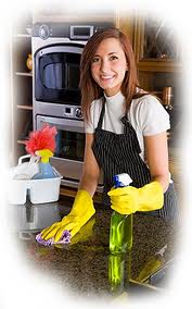 Eco cleaning franchise