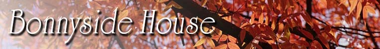 Bonnyside House