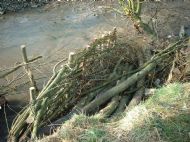 Reinforcing the Riverbank (3)