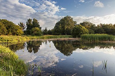 evening reflections with caston camera club