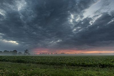 misty sunset over the fields  - with caston camera club