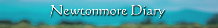 Newtonmore Diary