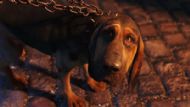 timothy spall as bayard the bloodhound