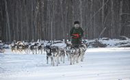Үндэсний хувцастай ч аялна