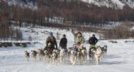 Олуулаа явах хөгжилтэй, сонирхолтой