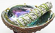 Abalone Shell & White Sage