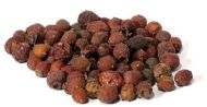 Hawthorn Berries whole 1oz (Crataegus laevigata)