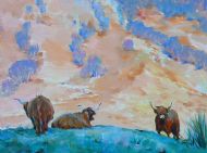 Highland Cow
