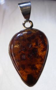 Amber Pendant, £35.00 inc. FREE postage.