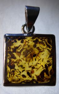 Amber Pendant, £45.00 inc. FREE postage.