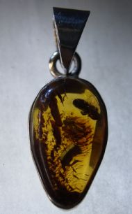 Amber Pendant, £20.00 inc. FREE postage.