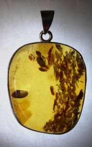 Amber Pendant, £85.00 inc. FREE postage.