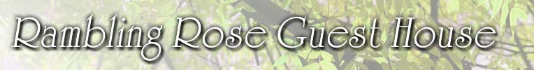 Rambling Rose Guest House