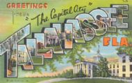 Greetings from the Capital City Tallahassee