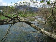 Bridge view in Patterdale!