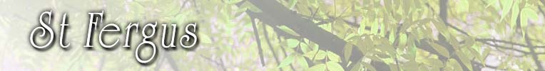 stfergus