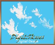 digitskyes homepage link