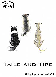 Tips and Tails