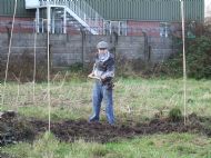 Digging