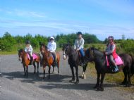 Forest ride