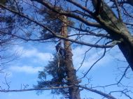 Working at Height