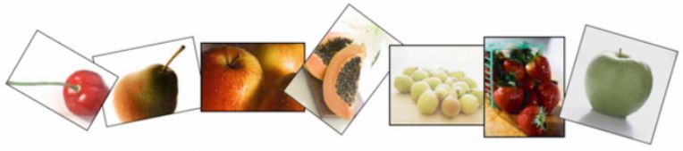 eliteweight loss package