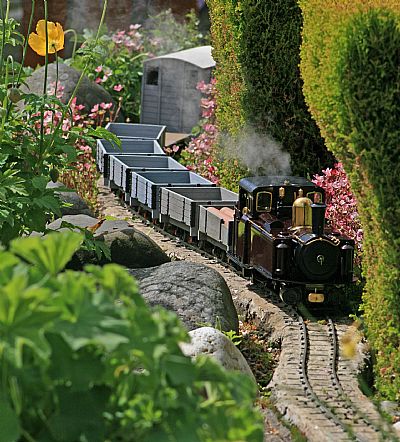 taelisin coming through the rockery