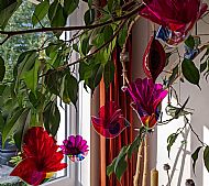 flock of colourful birdies