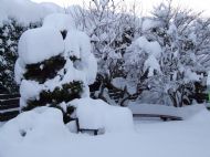 Snow on the Line