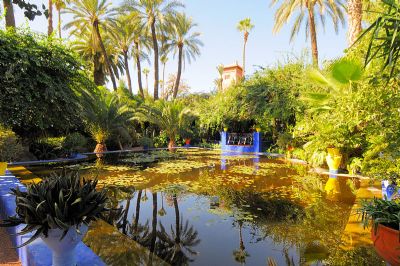 jardin de majorelle