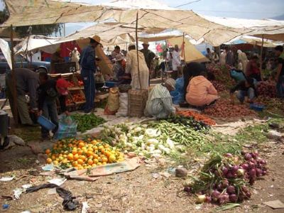 berber markets trek
