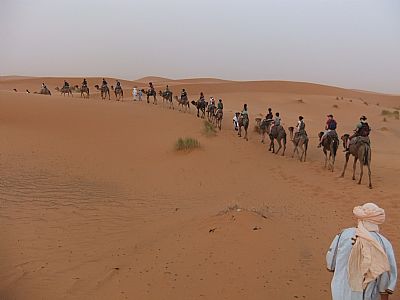 sahara tour