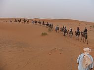 Sahara camel trek