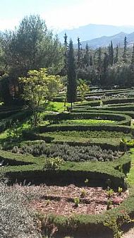 Nectarome Aromatic Garden