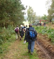 Hovingham - October 2011