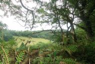 Appleton le Moors - Aug 2018    There were 6 of us on this walk, but I forgot to take any photos!