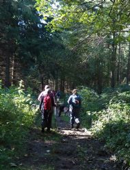 Woods near Terrington - October 2012