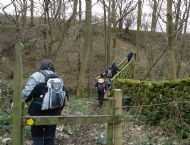 Footbridge near Rosedale Incline- March 2013