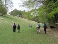 Welton Dale - May 2013