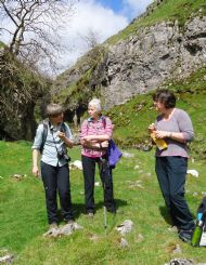 At the bottom of Trollers Gill - May 2013