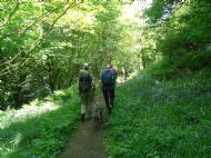 Sutton Bank - June 2013