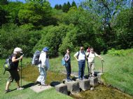 Stepping stones near Rievaulx - July 2011