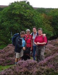 Heather moors near Hutton le Hole - September 2011