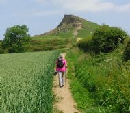 Roseberry Topping - July 2013