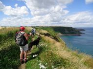 Back on the clifftops - Aug 2013