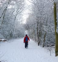 Fresh snow - Londesborough - February 2012