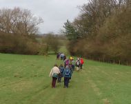 We weren't the only ones walking this route! - Londesborough Park - March 2014