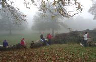 Fountains Abbey - Nov 2015