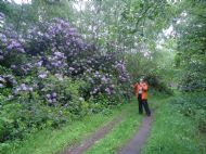 North Cliffe Lockdown Walk 3rd June   