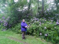 North Cliffe Lockdown Walk 3rd June